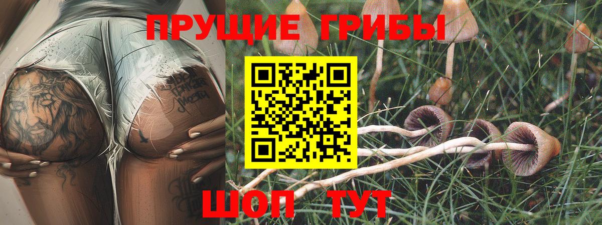 Галлюциногенные грибы ЛСД  Вход с VPN  Псилоцибиновые грибы мухоморы  Миллерово 