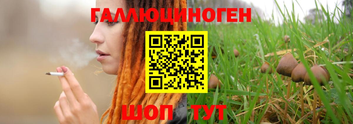 Псилоцибиновые грибы мицелий Миллерово