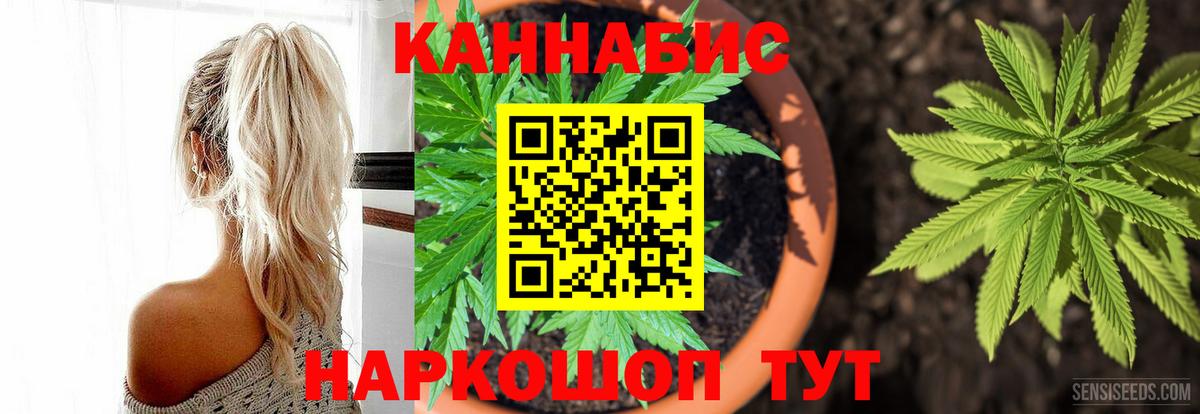 Бошки марихуана конопля Миллерово
